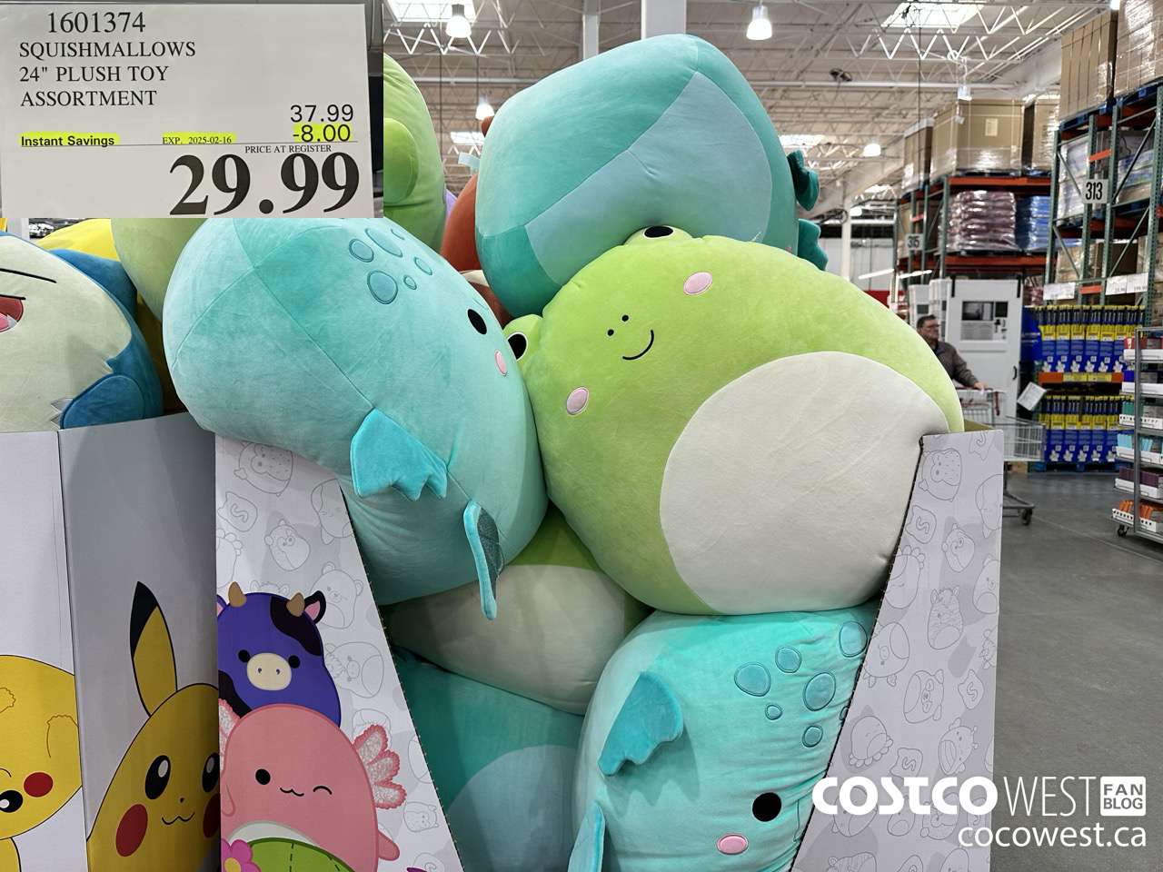 1601374 SQUISHMALLOWS 24