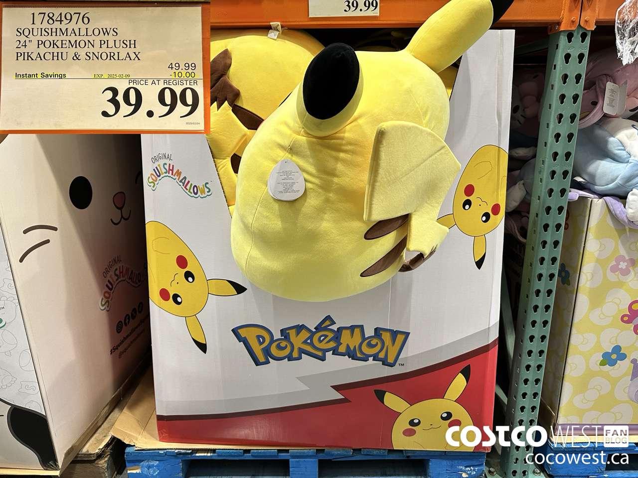 1784976 SQUISHMALLOWS 24