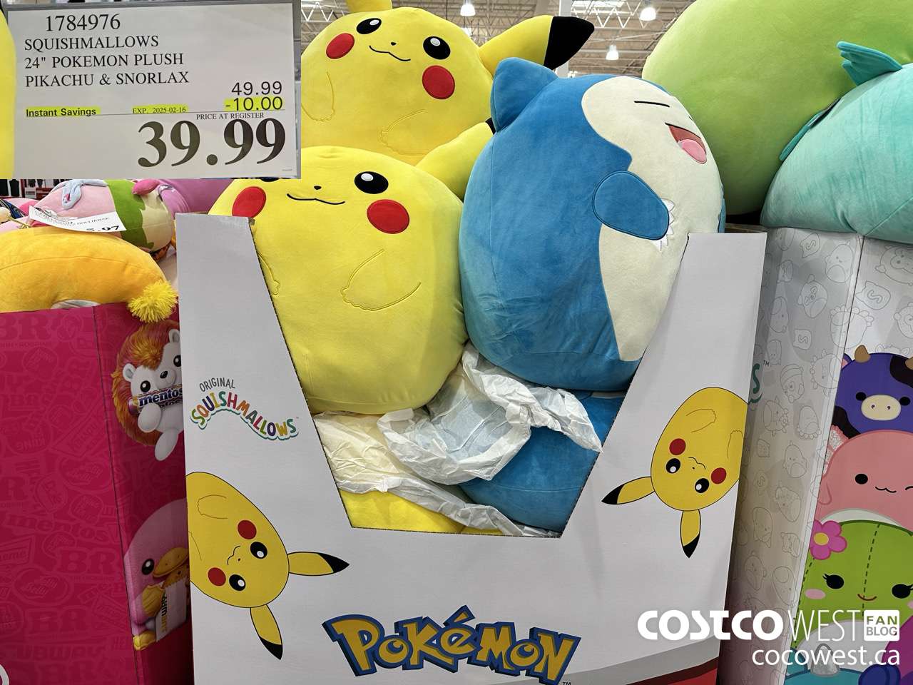 1784976 SQUISHMALLOWS 24