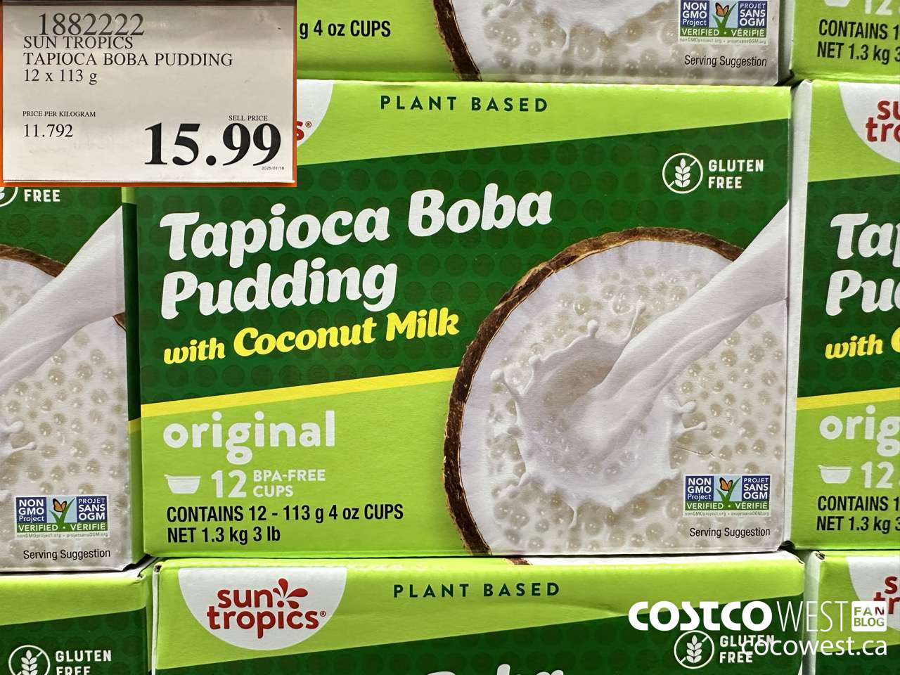 1882222 SUN TROPICS TAPICOCA BOBA PUDDING 12X113G $15.99