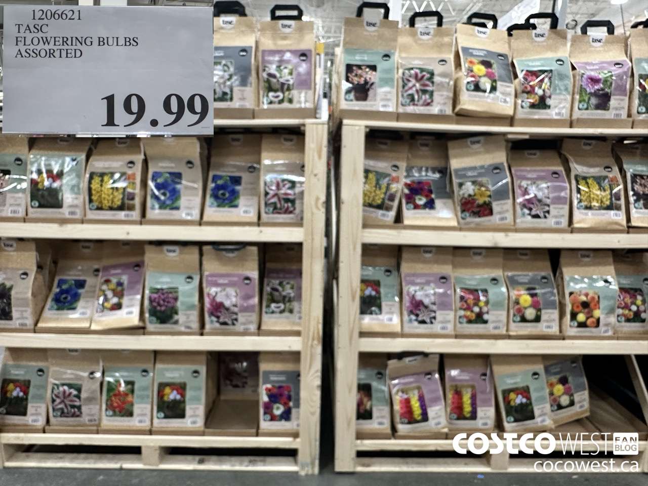 1206621 TASC FLOWERING BULBS ASSORTED $19.99