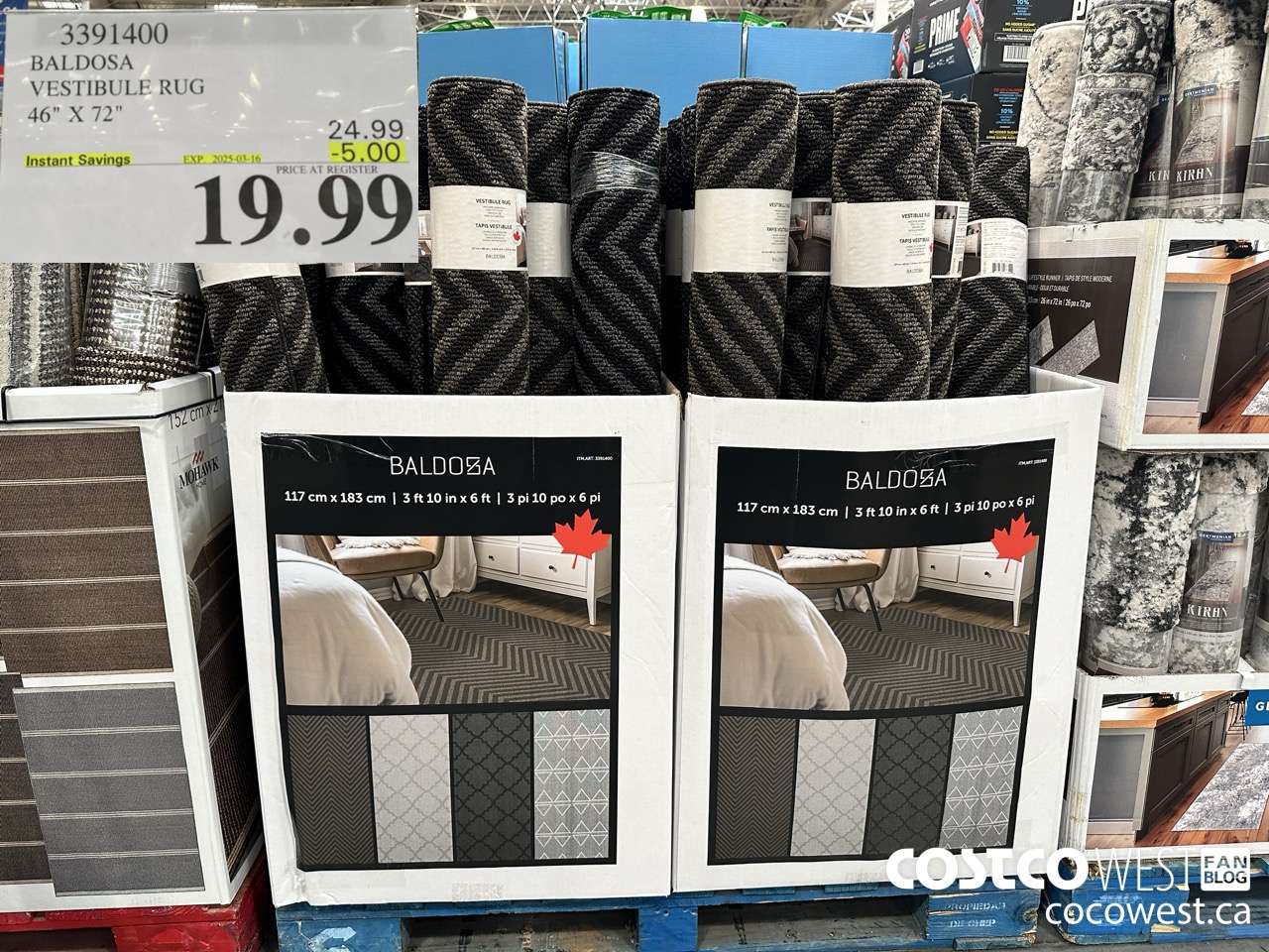 3391400 BALDOSA VESTIBULE RUG 46