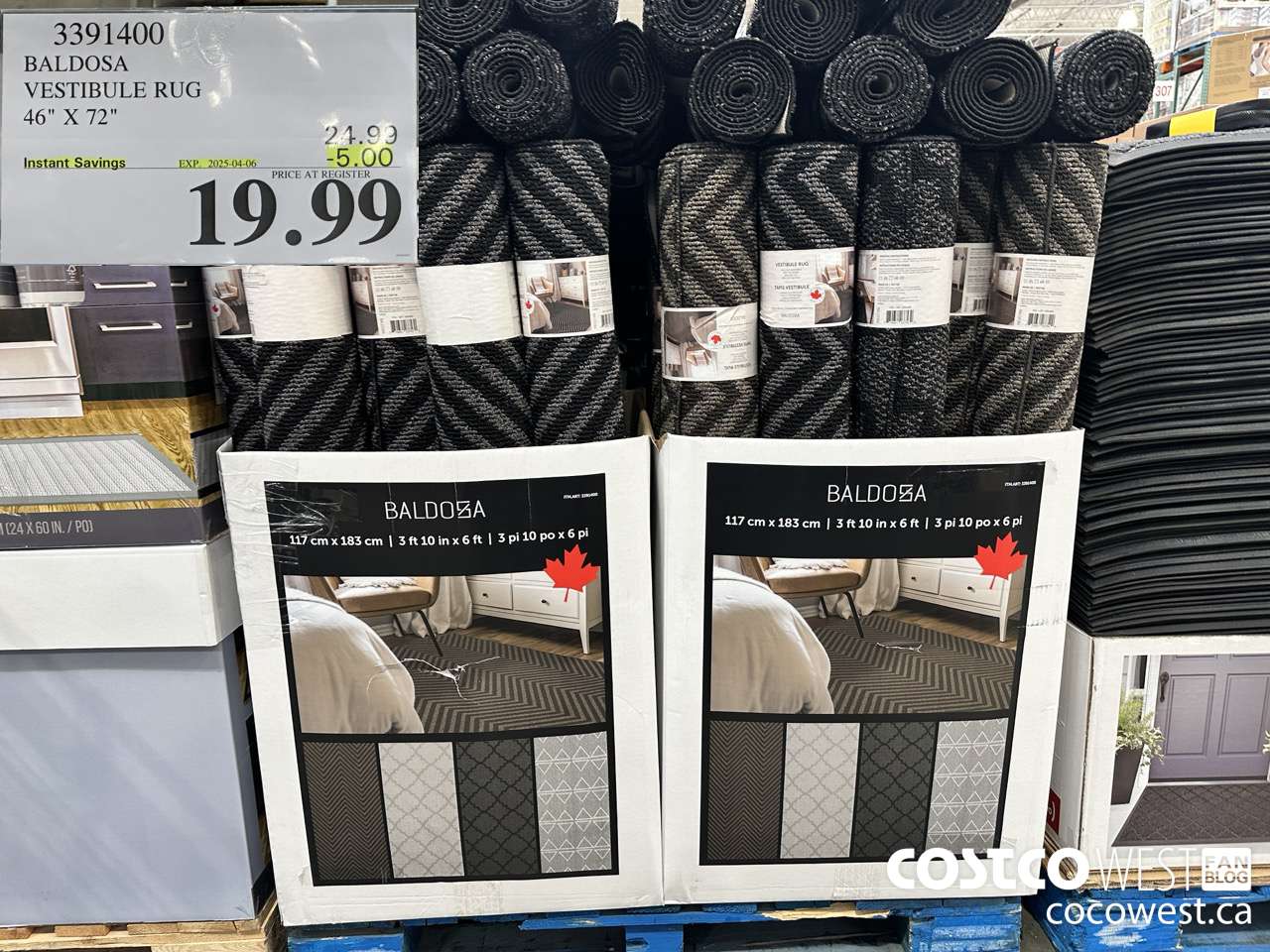 3391400 BALDOSA VESTIBULE RUG 46