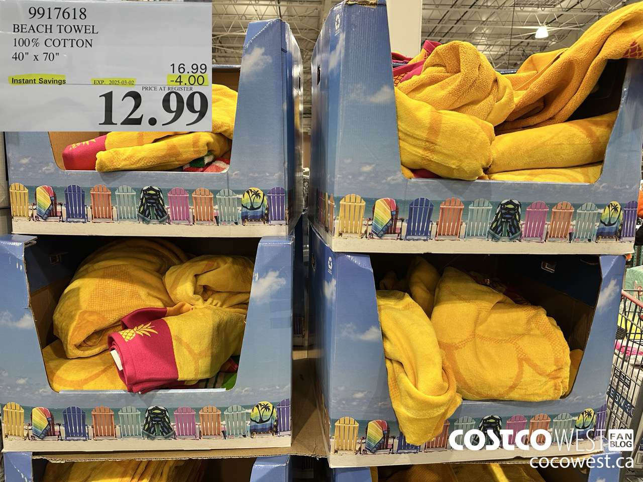 9917618 BEACH TOWEL 100% COTTON 40