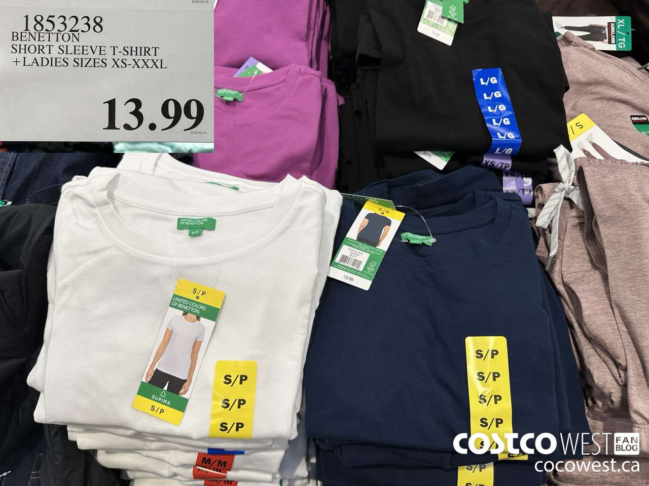 1853238 BENETTON SHORT SLEEVE T-SHIRT LADIES SIZES XS-XXXL $13.99