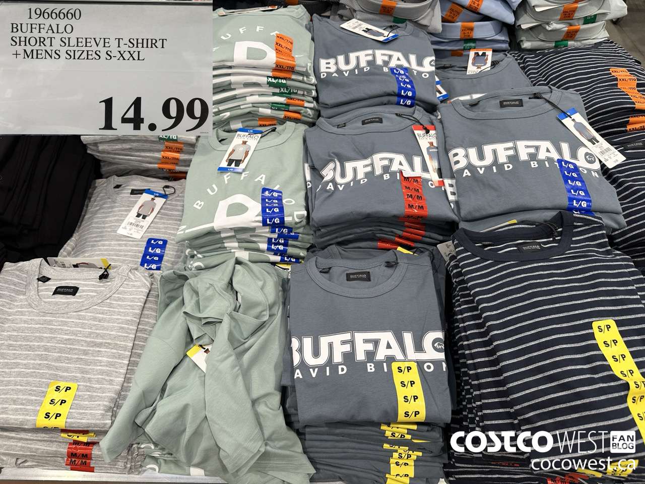 1966660 BUFFALO SHORT SLEEVE T-SHIRT MENS SIZES S-XXL $14.99