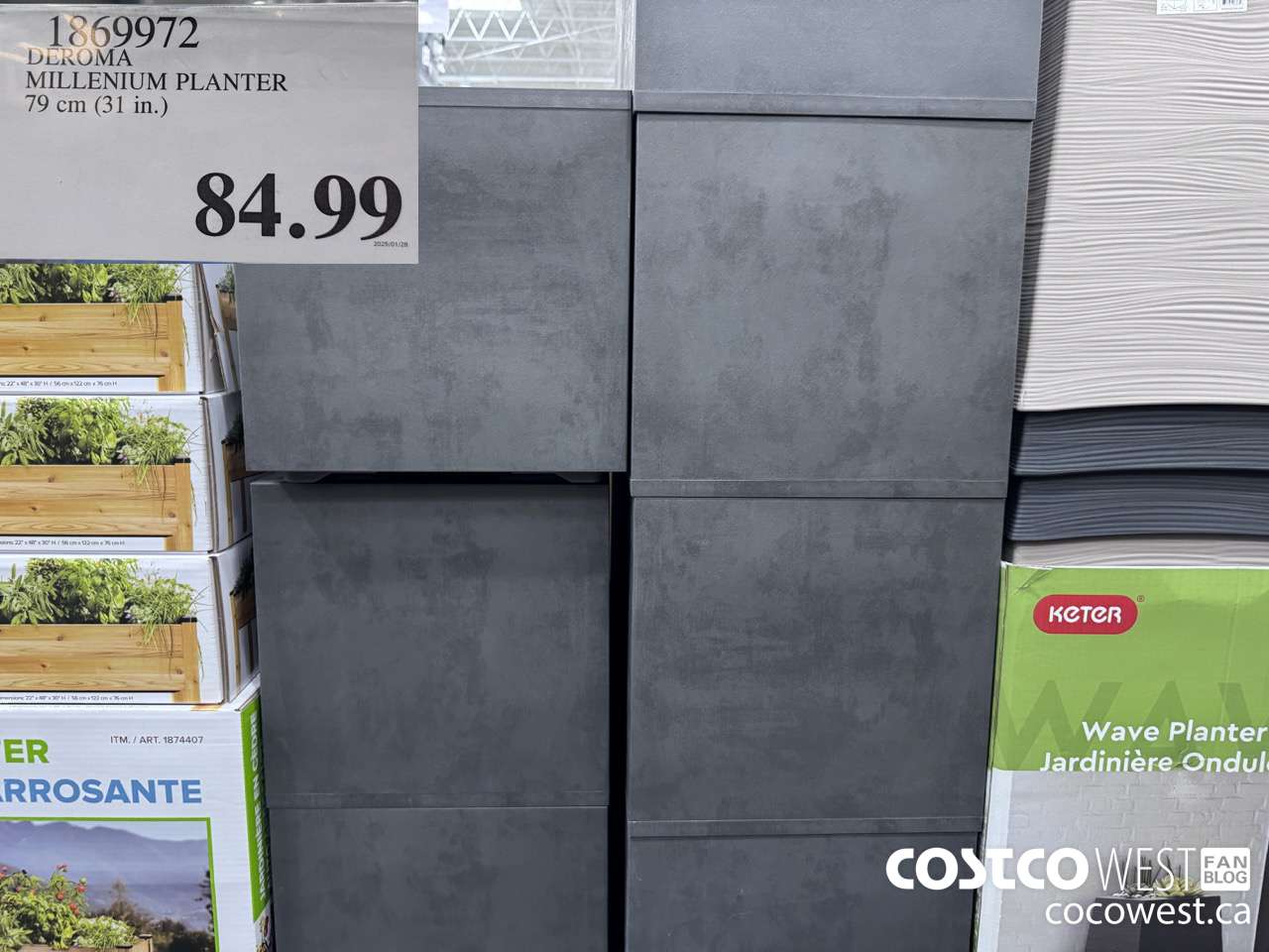 1869972 DEROMA MILLENIUM PLANTER 79CM (31IN) $84.99