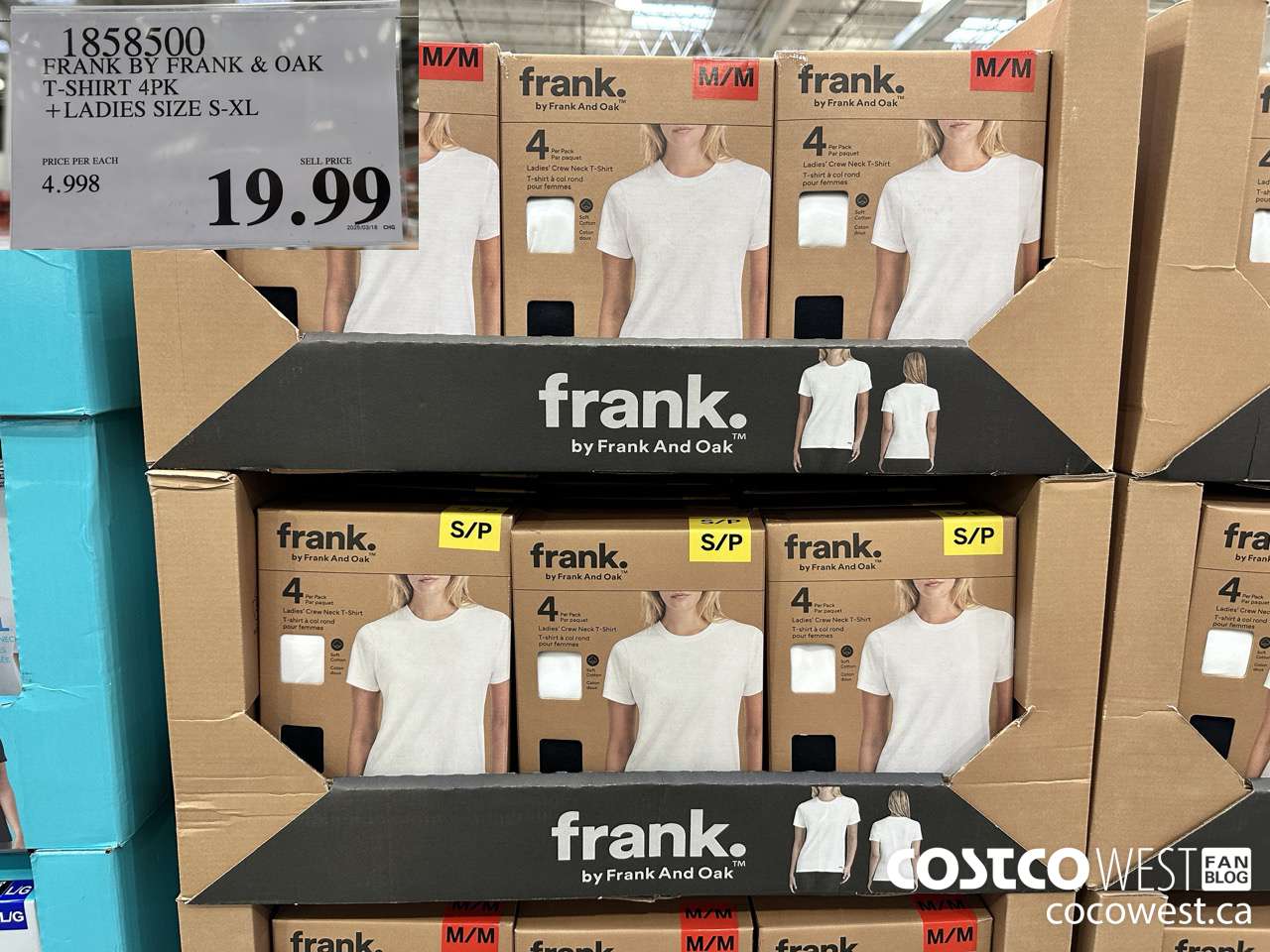 1858500 FRANK BY FRANK & OAK T-SHIRT 4PK LADIES SIZES S-XL $19.99