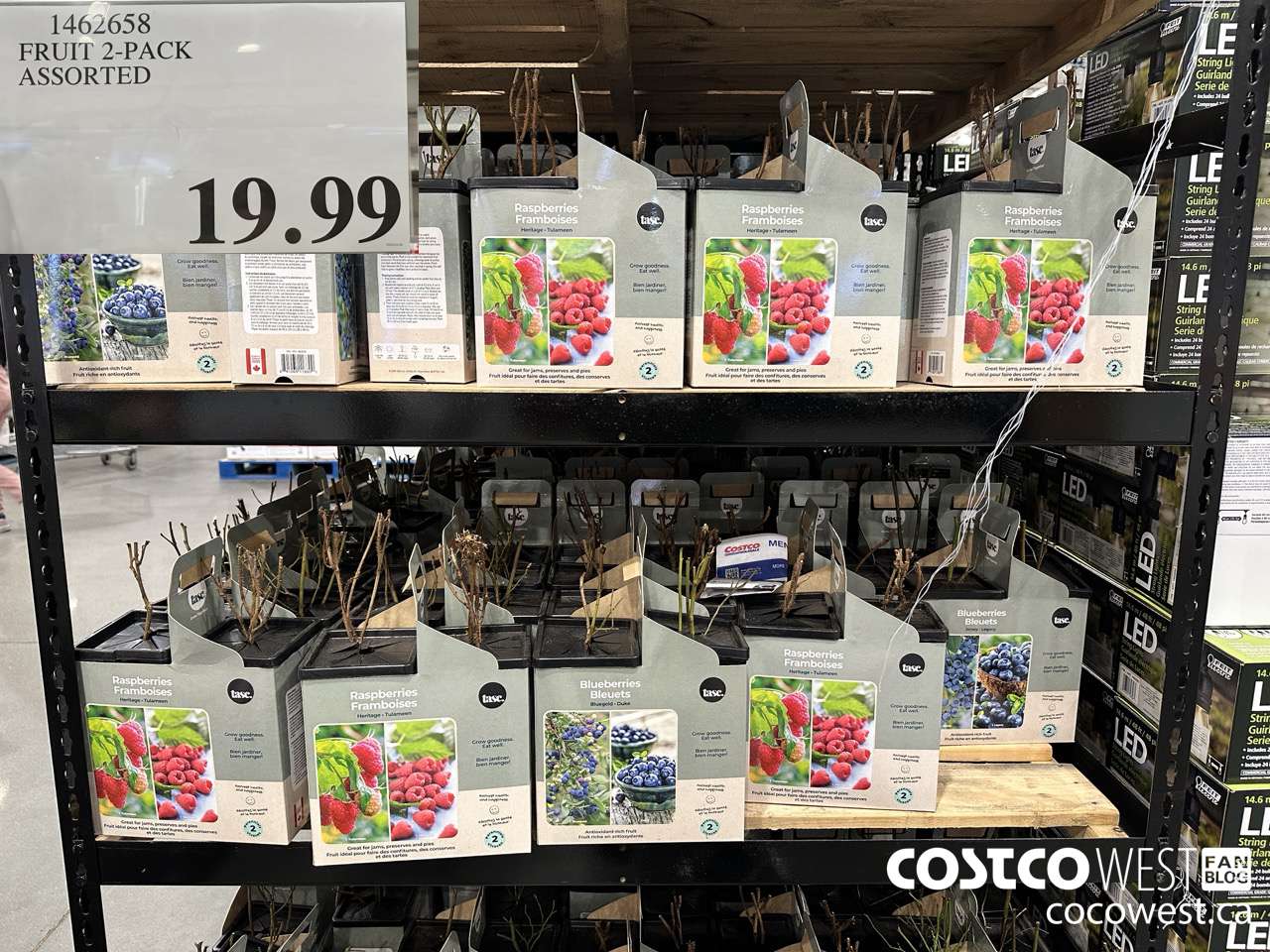 1462658 FRUIT 2-PACK ASSORTED $19.99