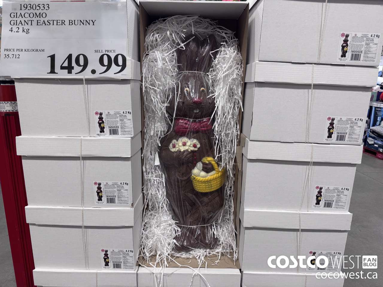 1930533 GIACOMO GIANT EASTER BUNNY 4.2KG $149.99