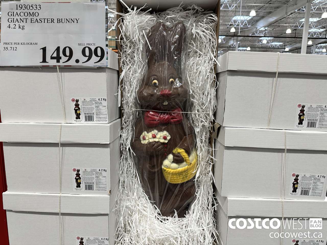 1930533 GIACOMO GIANT EASTER BUNNY 4.2KG $149.99