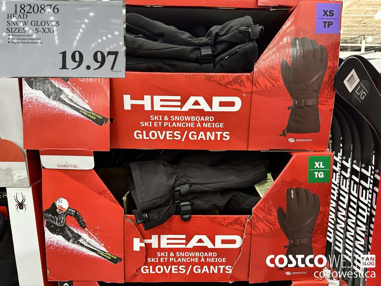 1820876 HEAD SNOW GLOVES SIZES S-XXL $19.97
