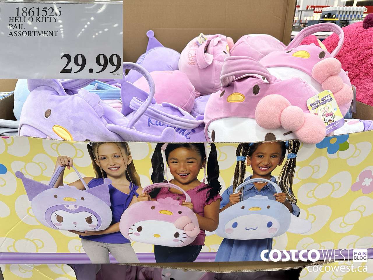 1861526 HELLO KITTY PAIL ASSORTMENT $29.99