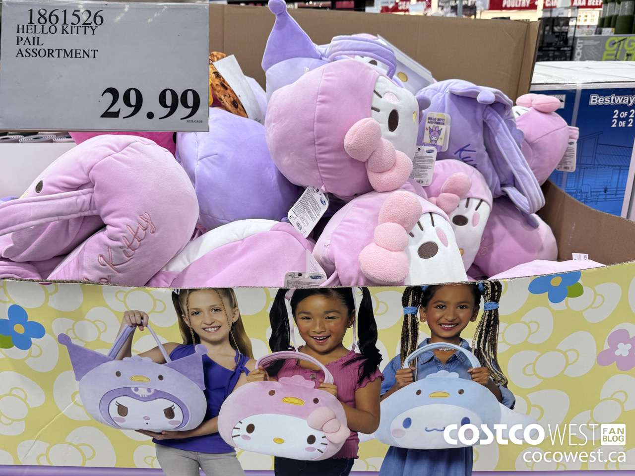 1861526 HELLO KITTY PAIL ASSORTMENT $29.99