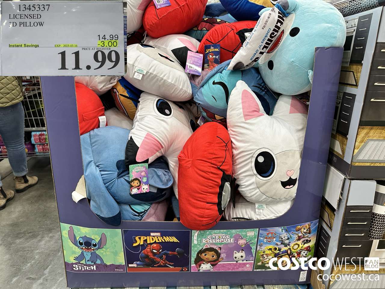 1345337 LICENSED 3D PILLOW ($3.00 INSTANT SAVINGS EXPIRES ON 2025-03-16) $11.99