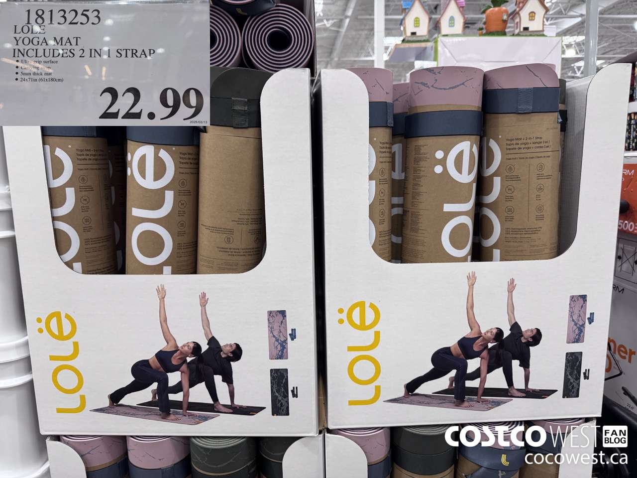 1813253 LOLE YOGA MAT INCLUDES 2 IN 1 STRAP $22.99