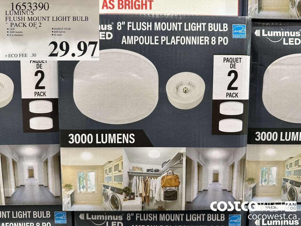 1653390 LUMINUS FLUSH MOUNT LIGHT BULB 2-PACK $29.97