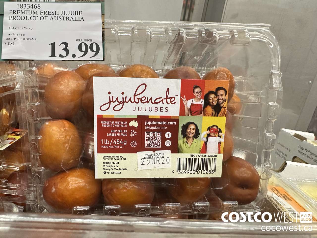 1833468 PREMIUM FRESH JUJUBE PRODUCT OF AUSTRALIA $13.99