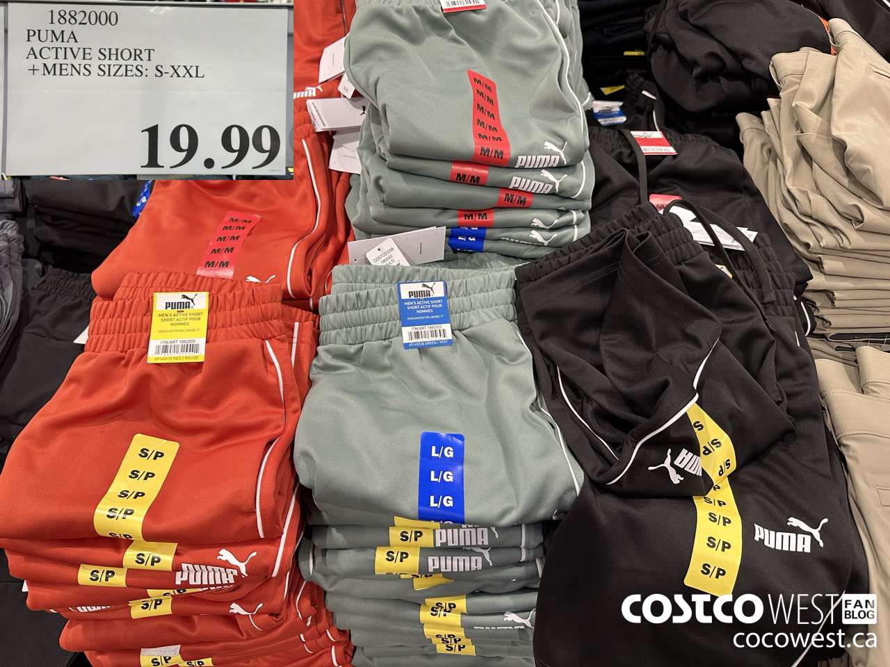 1882000 PUMA ACTIVE SHORT MENS SIZES S-XXL $19.99