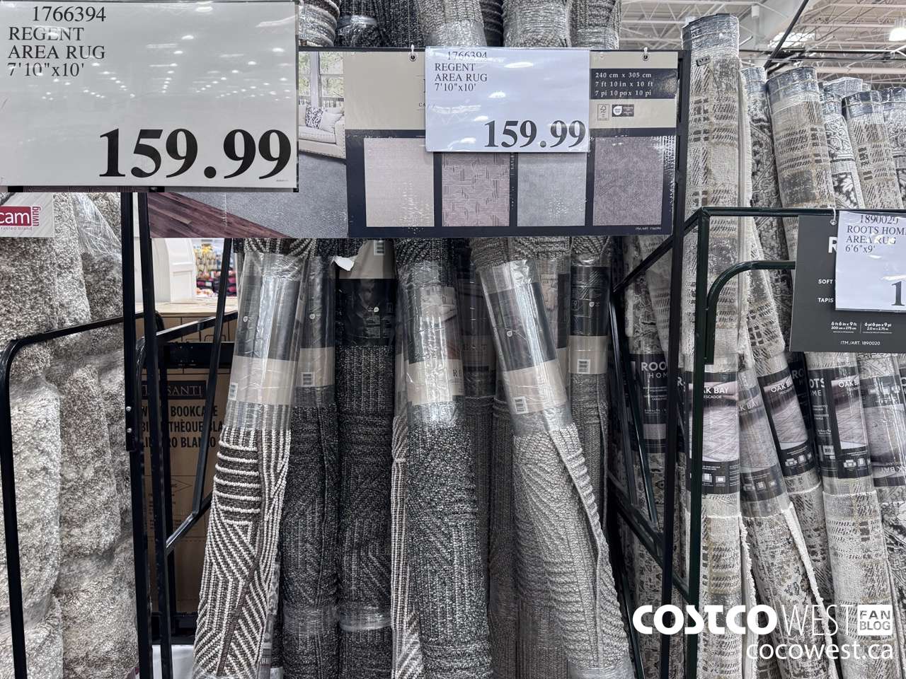 1766394 REGENT AREA RUG 7'10