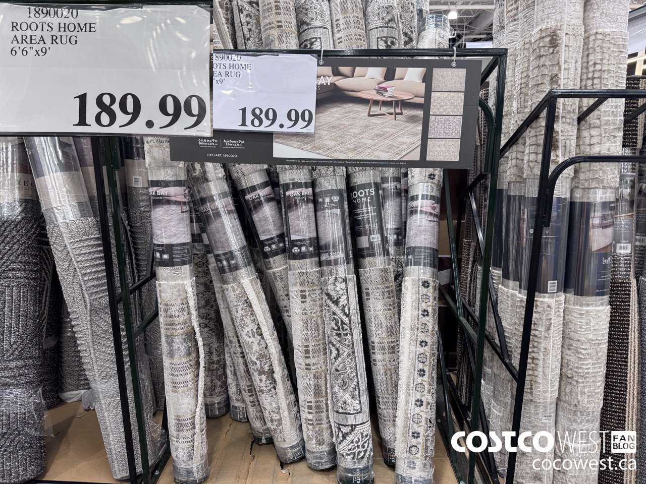 1890020 ROOTS HOME AREA RUG 6'6