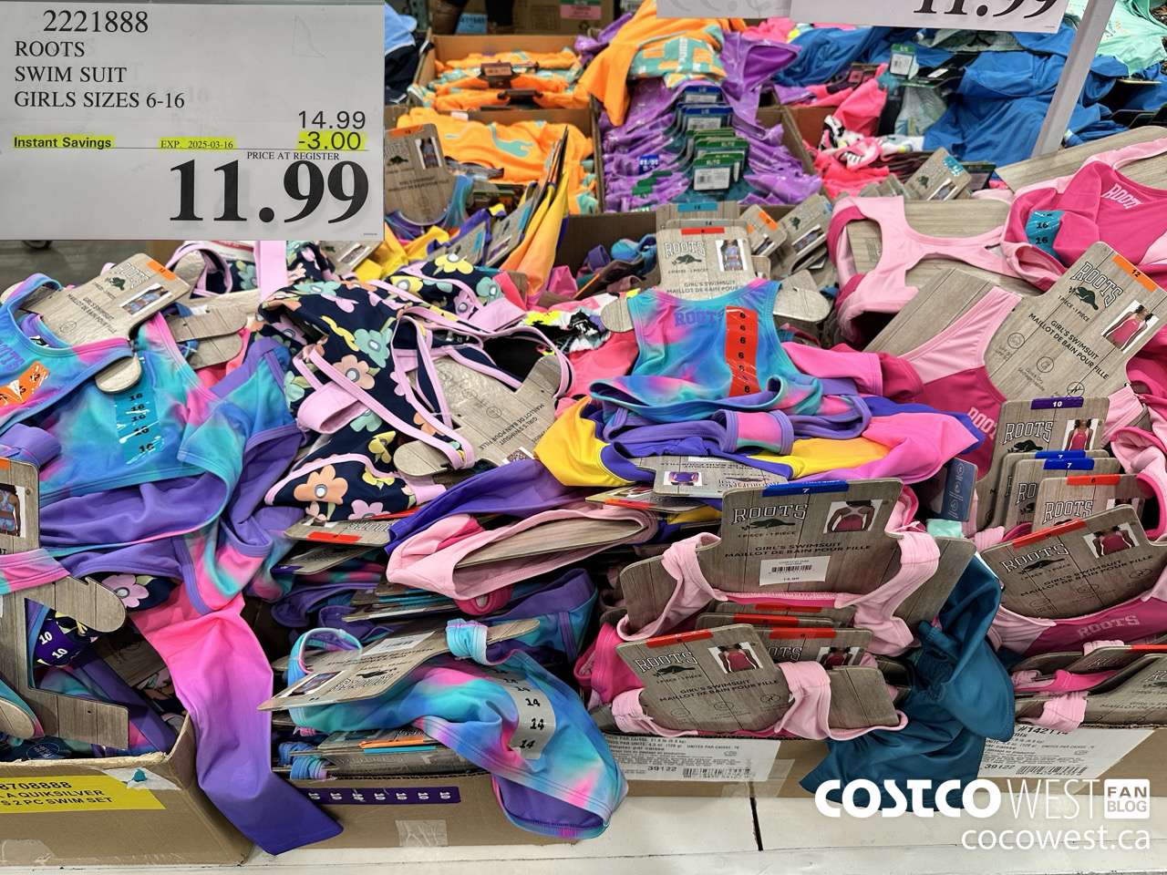 2221888 ROOTS SWIM SUIT GIRLS SIZES 6-16 ($3.00 INSTANT SAVINGS EXPIRES ON 2025-03-16) $11.99