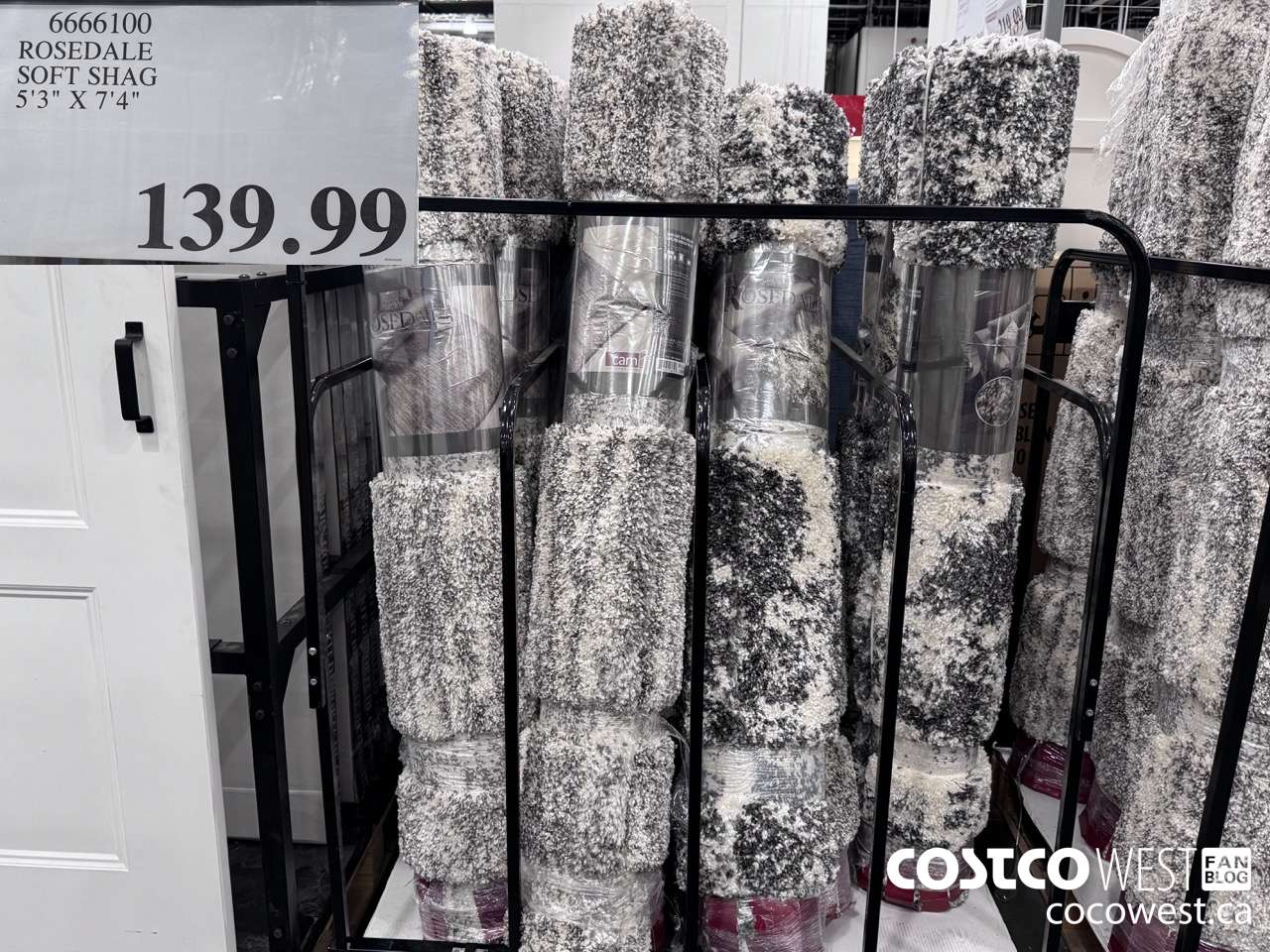 6666100 ROSEDALE SOFT SHAG 5'3