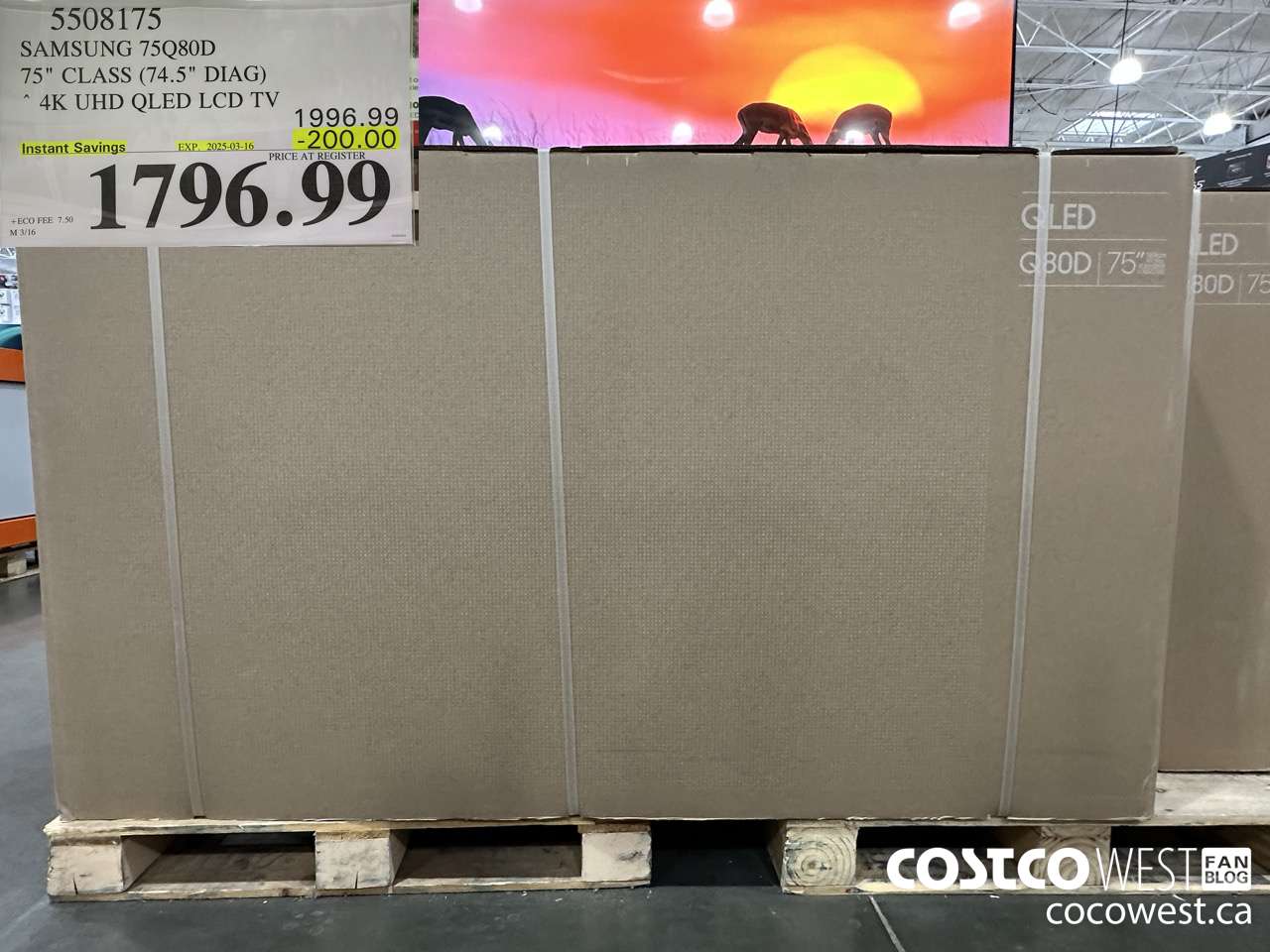 5508175 SAMSUNG 75Q80D 75
