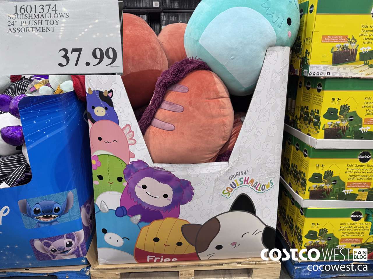 1601374 SQUISHMALLOWS 24