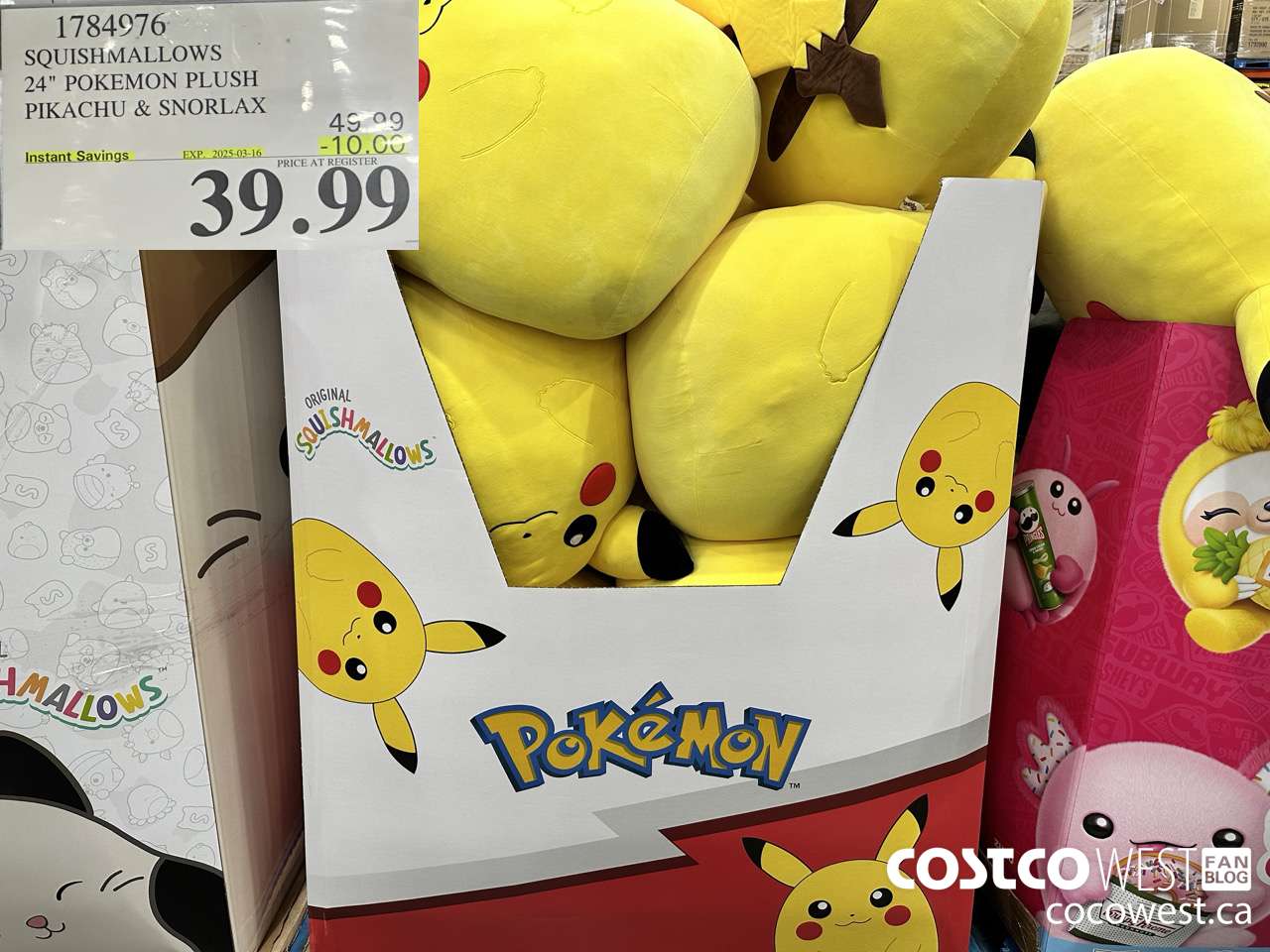 1784976 SQUISHMALLOWS 24