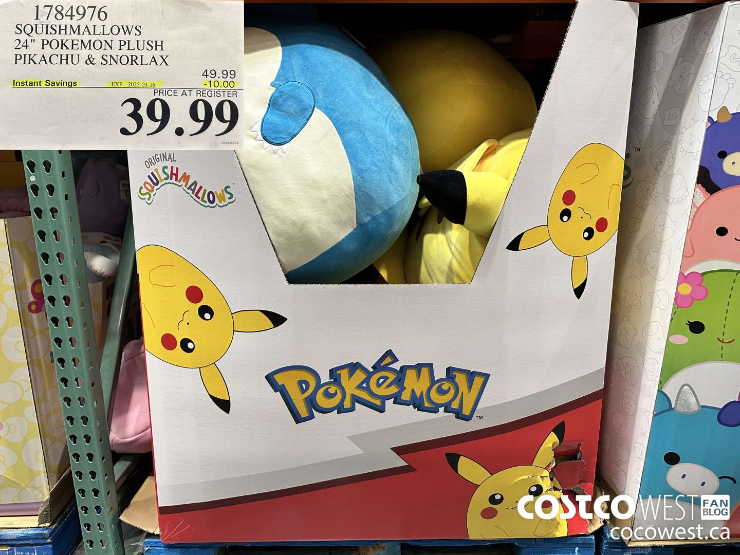 1784976 SQUISHMALLOWS 24