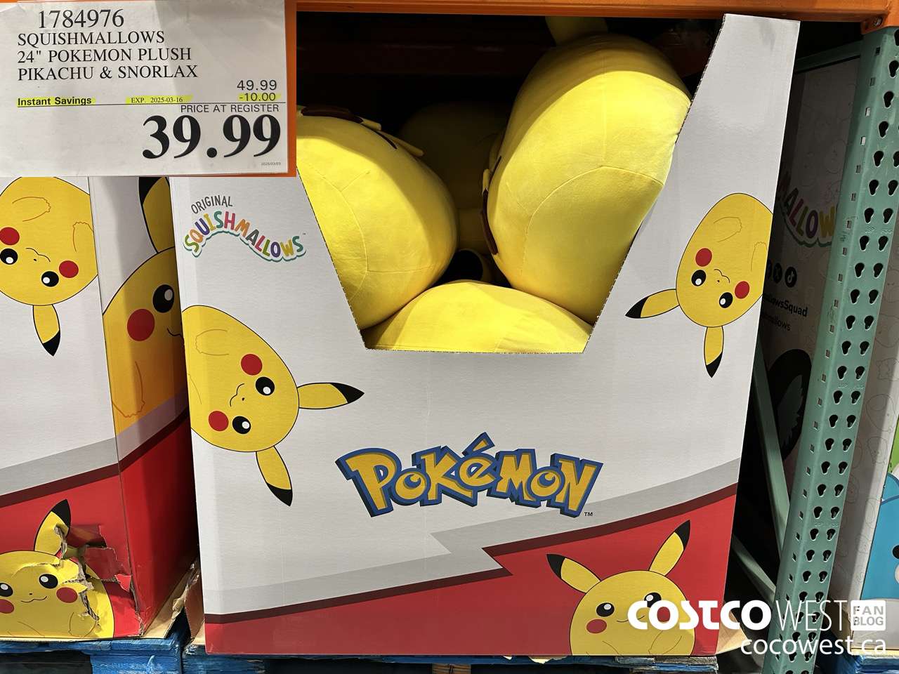 1784976 SQUISHMALLOWS 24