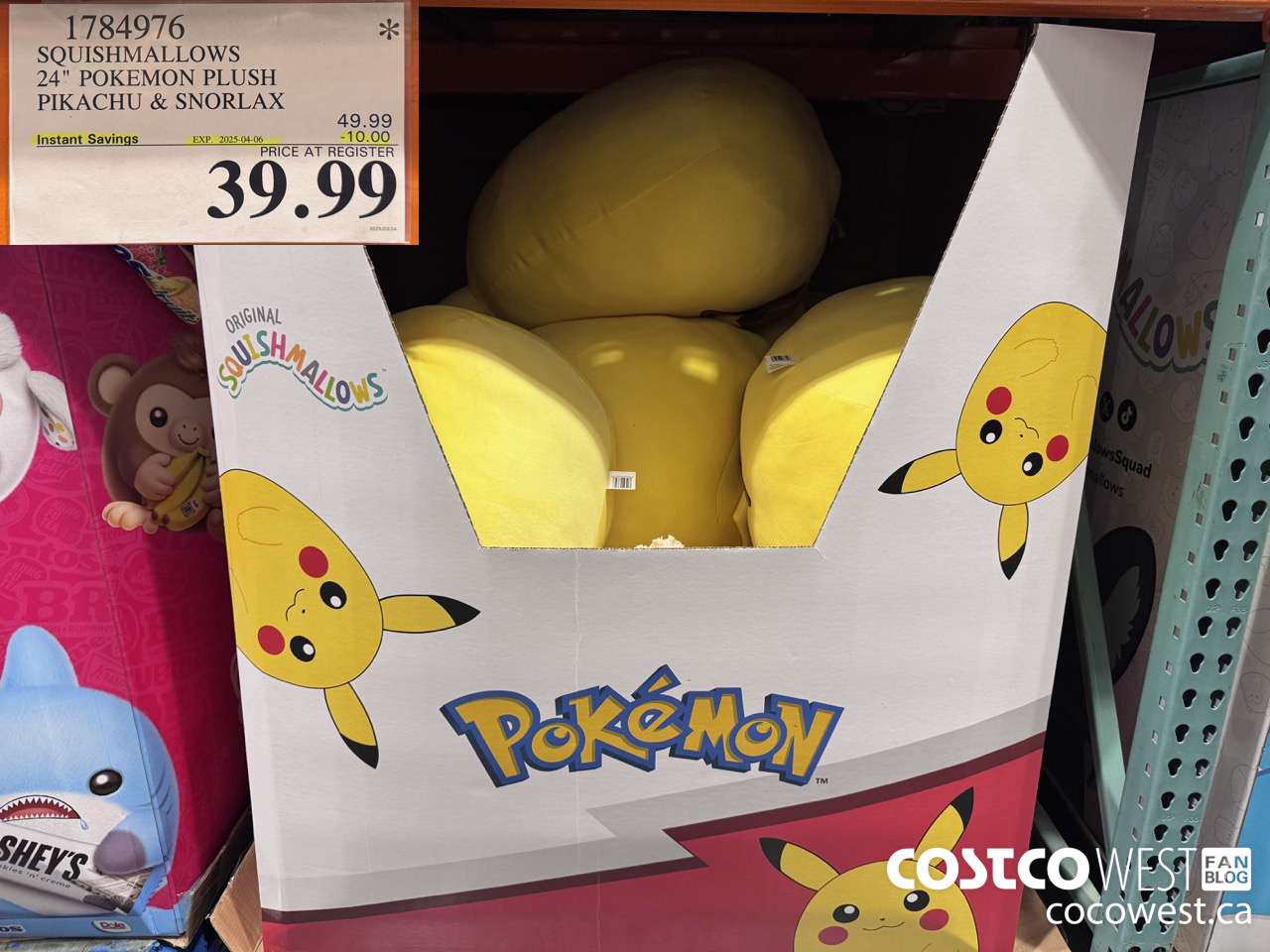 1784976 SQUISHMALLOWS 24