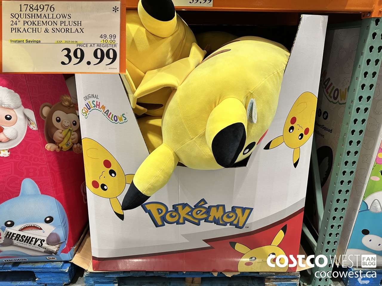 1784976 SQUISHMALLOWS 24