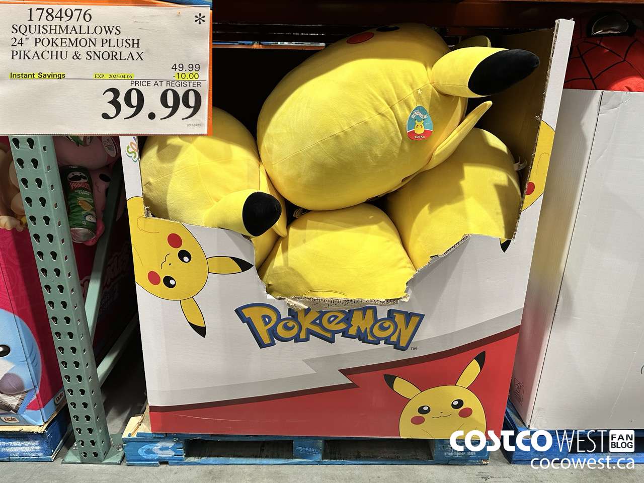 1784976 SQUISHMALLOWS 24