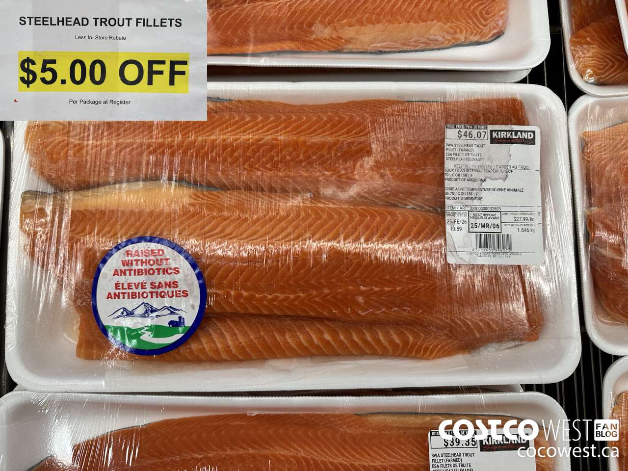 32605 STEELHEAD TROUT FILLETS ($5.00 INSTANT SAVINGS)