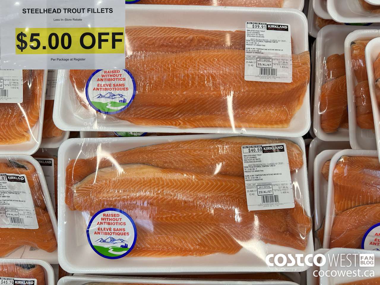 32605 STEELHEAD TROUT FILLETS ($5.00 INSTANT SAVINGS)