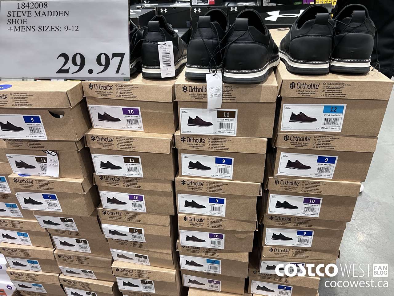 1842008 STEVE MADDEN SHOE MENS SIZES: 9-12 $29.97