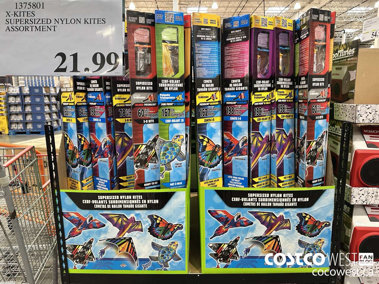 1375801 X-KITES SUPERSIZED NYLON KITES ASSORTMENT $21.99