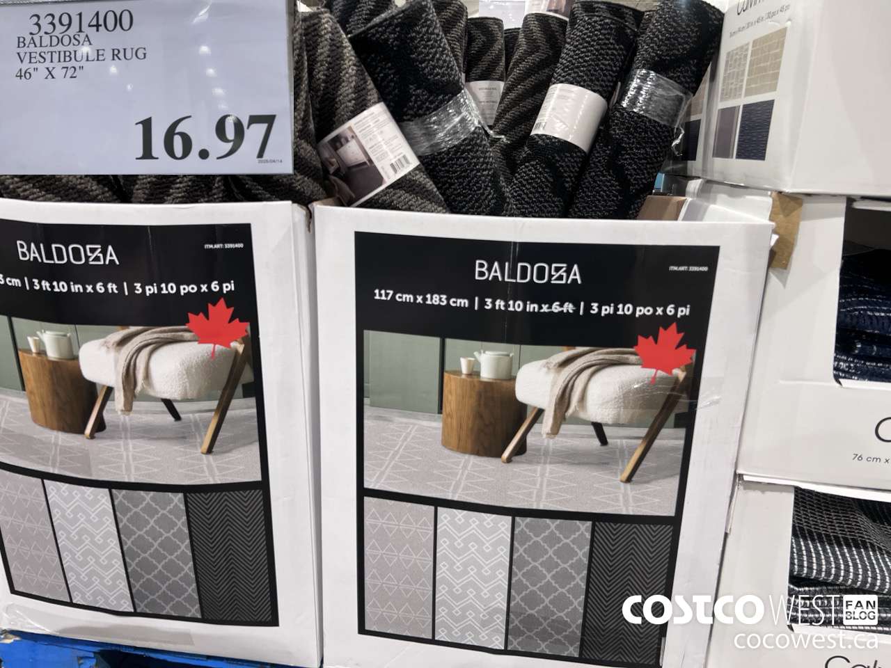 3391400 BALDOSA VESTIBULE RUG 46