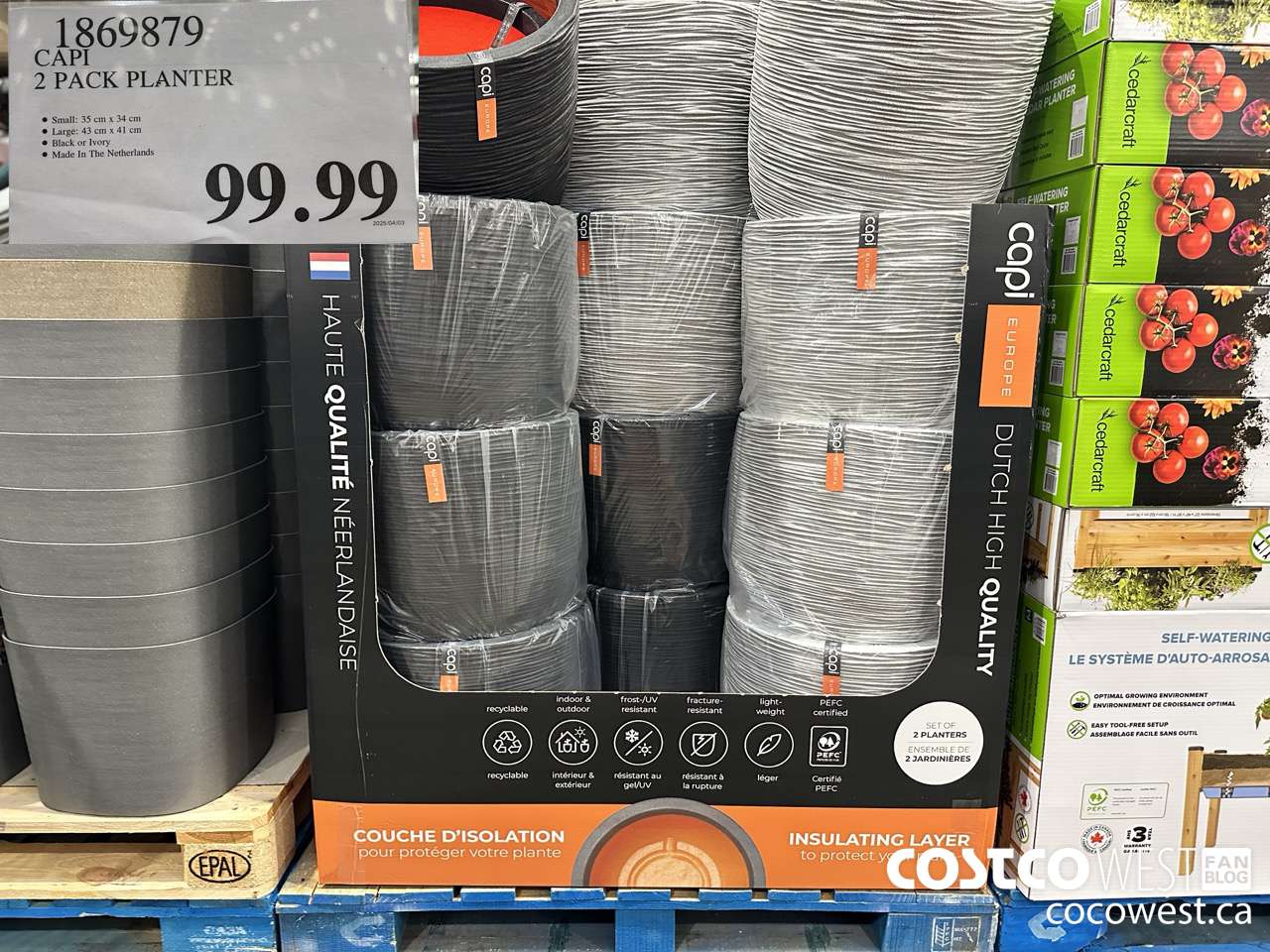 1869879 CAPI 2 PACK PLANTER $99.99