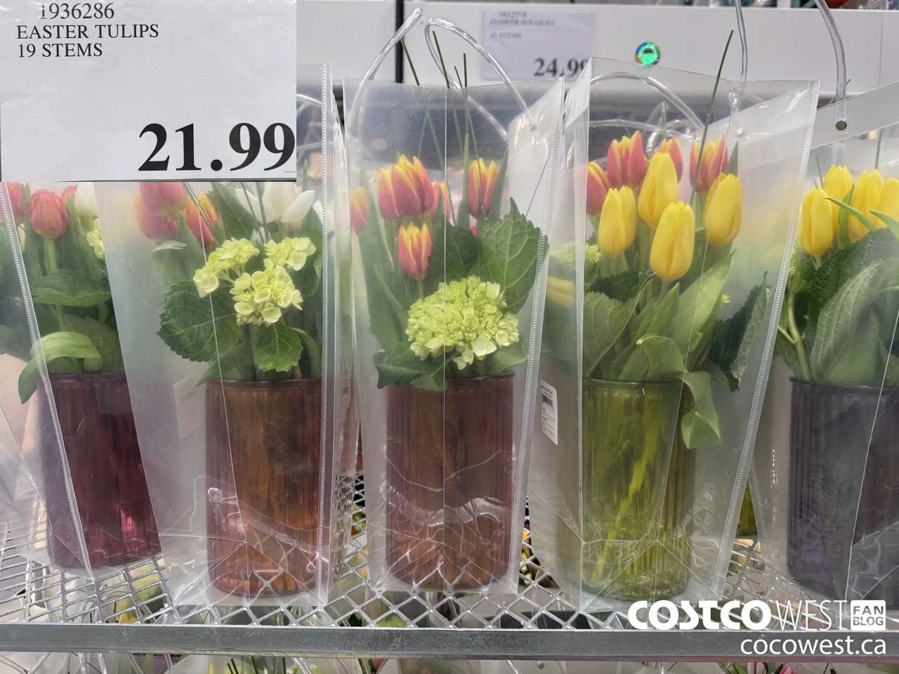 1936286 EASTER TULIPS 19 STEMS $21.99