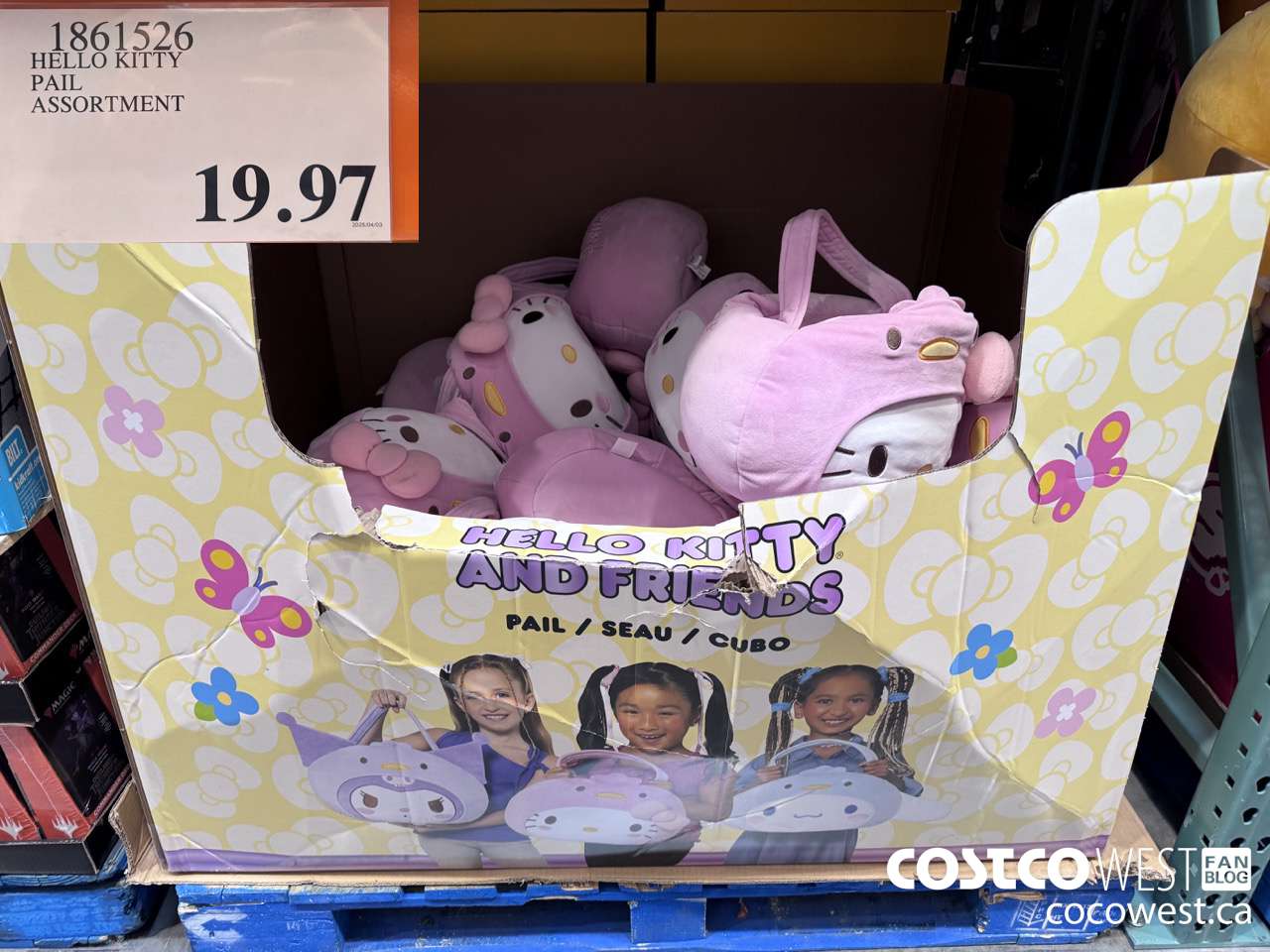 1861526 HELLO KITTY PAIL ASSORTMENT $19.97