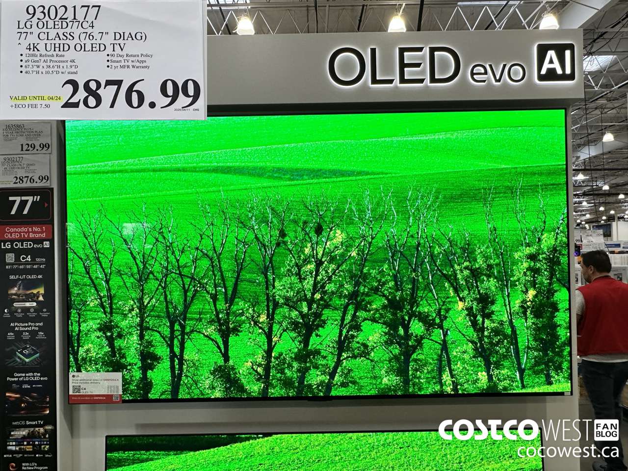 9302177 LG OLED77C4 77