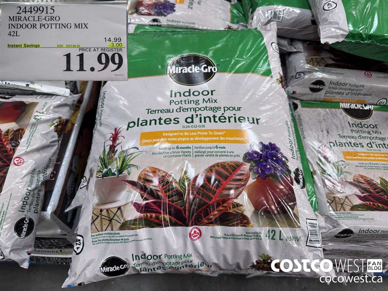 2449915 MIRACLE-GRO INDOOR POTTING MIX 42L ($3.00 INSTANT SAVINGS EXPIRES ON 2025-04-20) $11.99