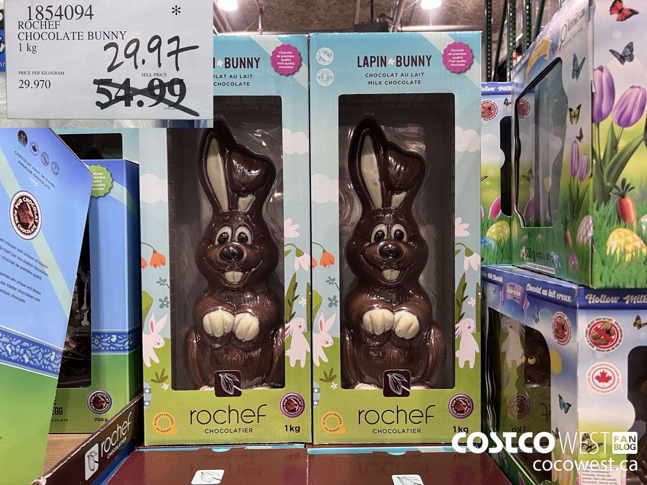1854094 ROCHEF CHOCOLATE BUNNY 1KG $29.97