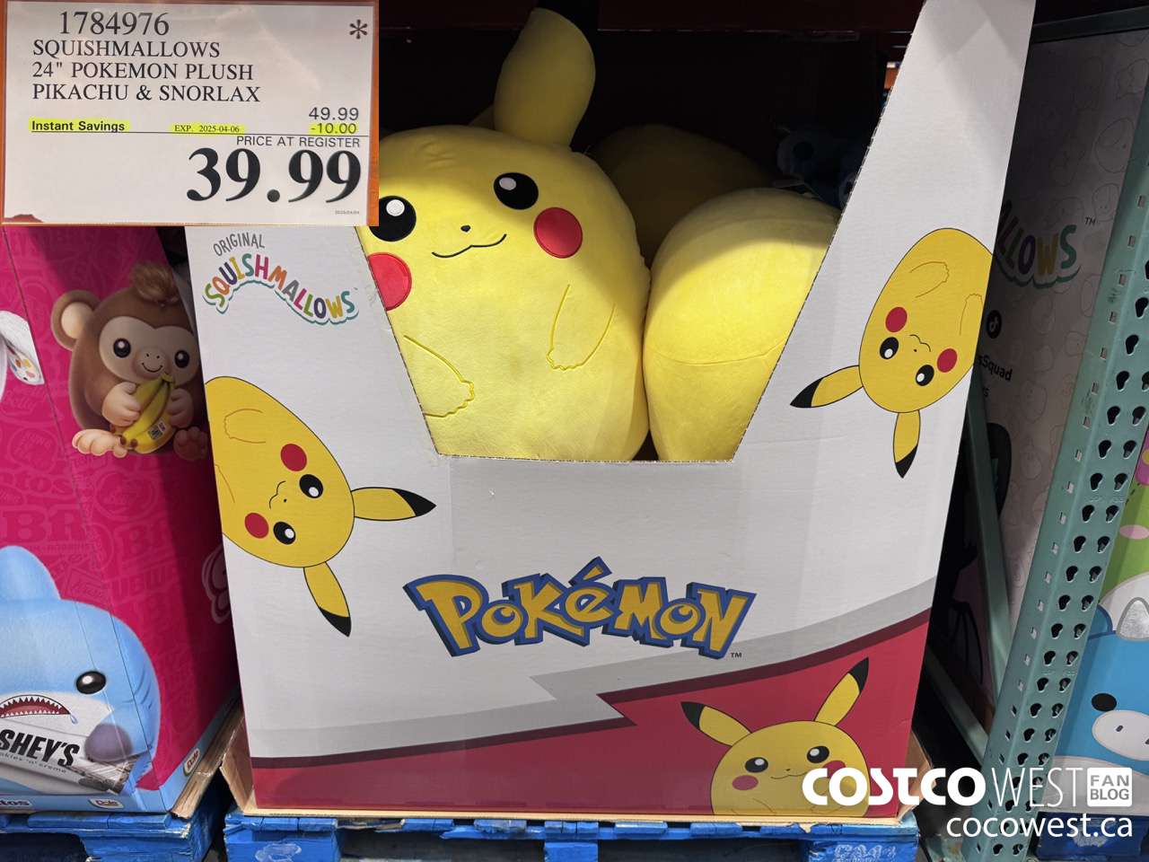 1784976 SQUISHMALLOWS 24