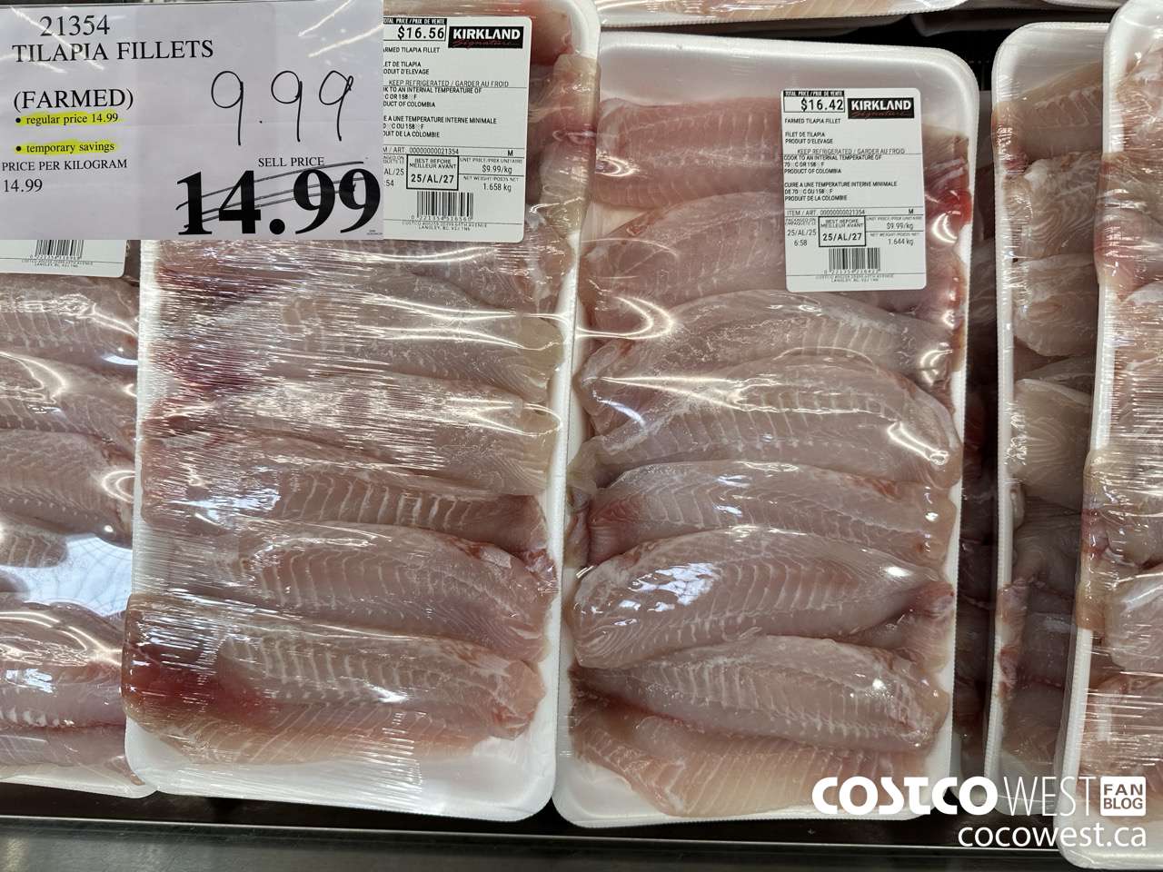 21354 TILAPIA FILLETS $9.99