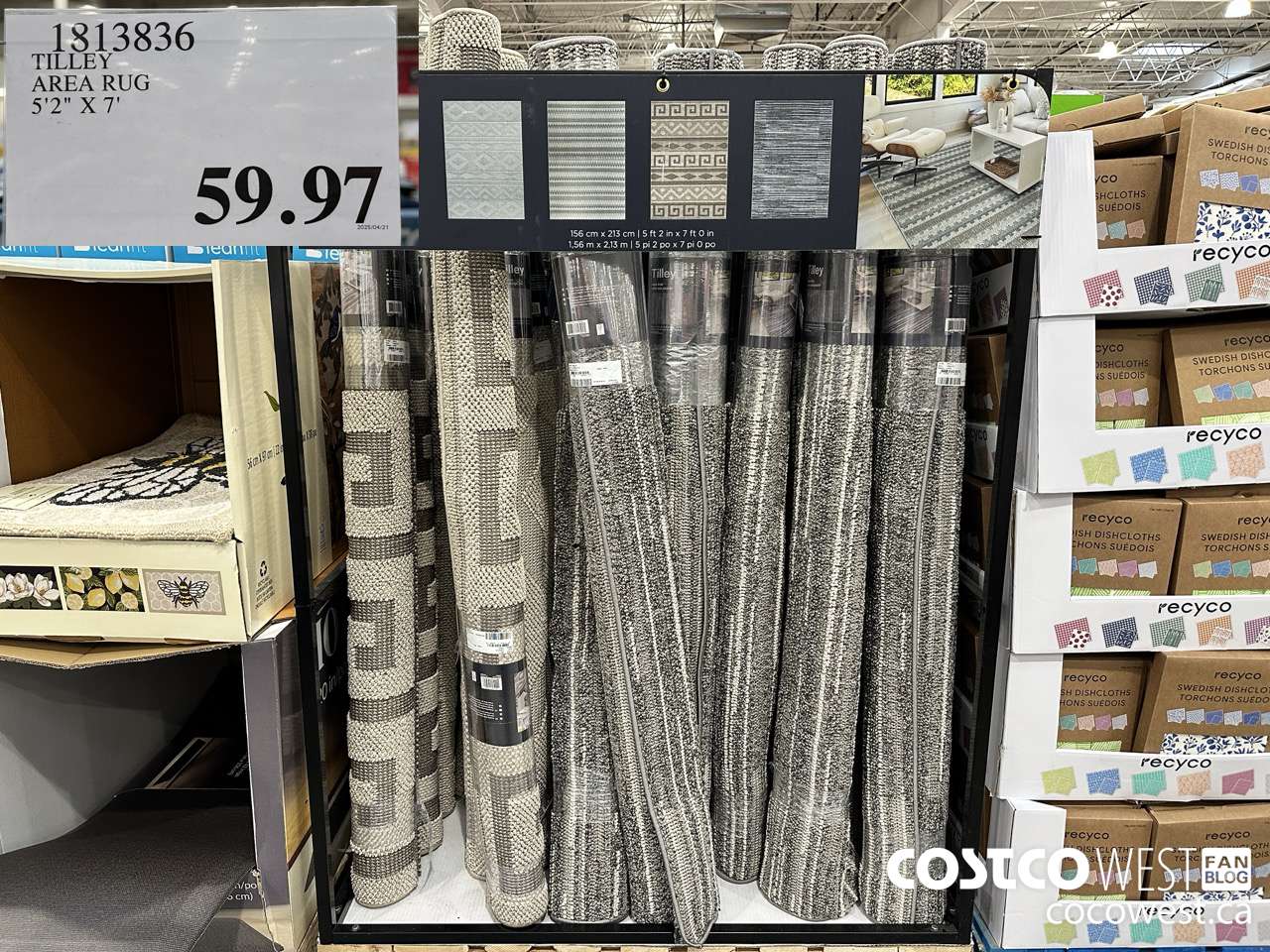 1813836 TILLEY AREA RUG 5'2