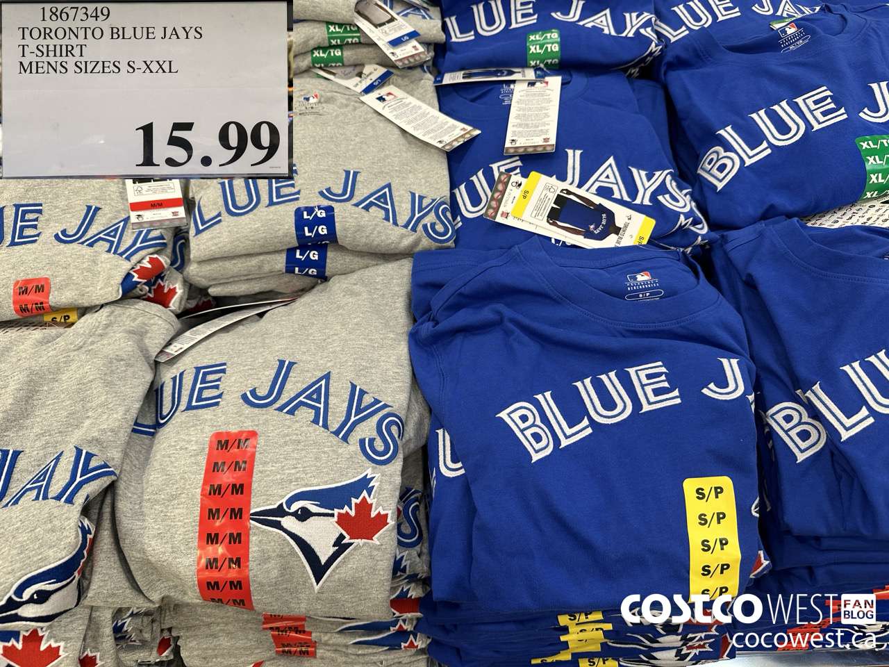 1867349 TORONTO BLUE JAYS T-SHIRT MENS SIZES S-XXL $15.99